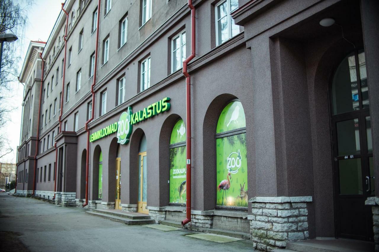 Large Studio Downtown Ταλίν Εξωτερικό φωτογραφία